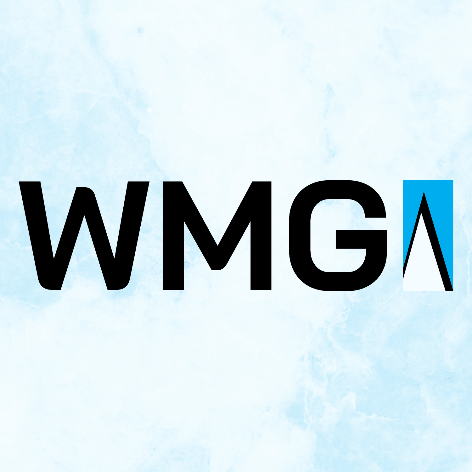 Washington Media Services logo