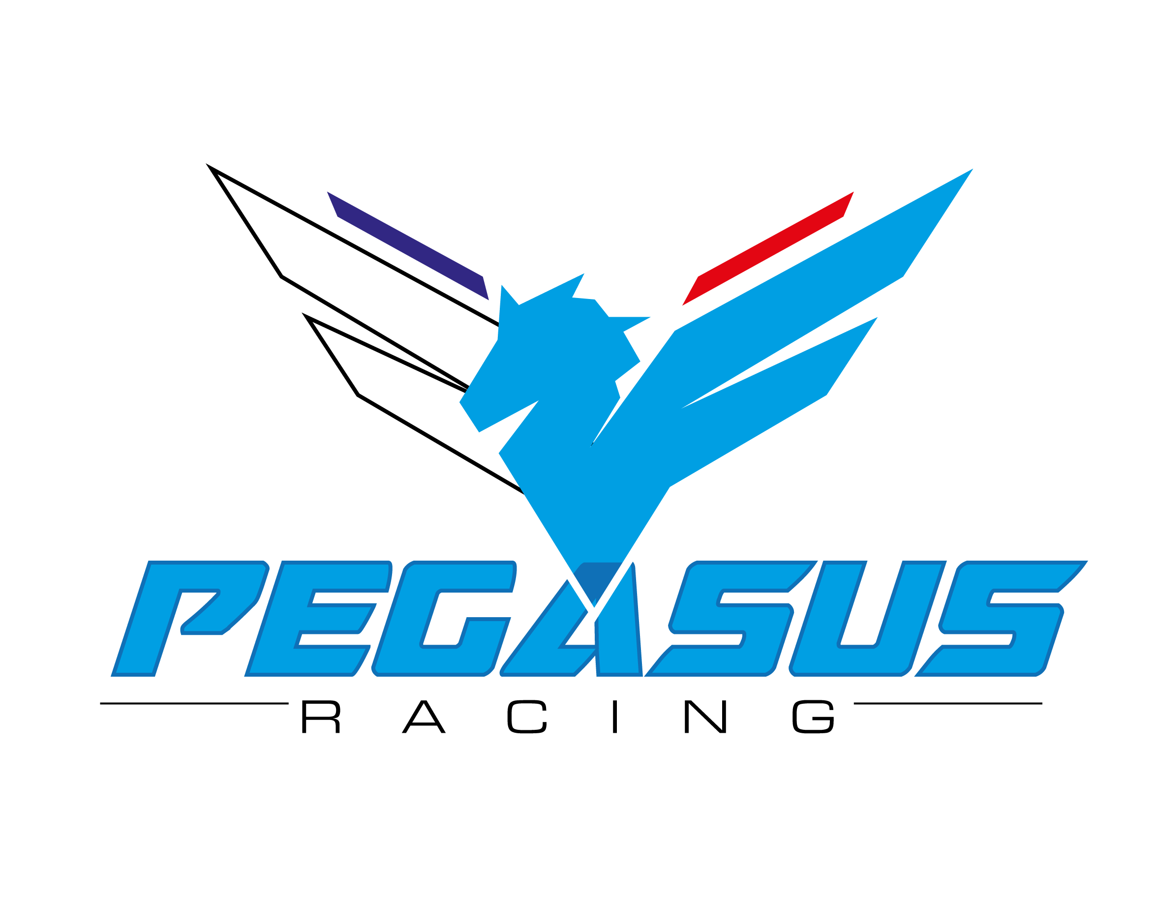 PEGASUS RACING