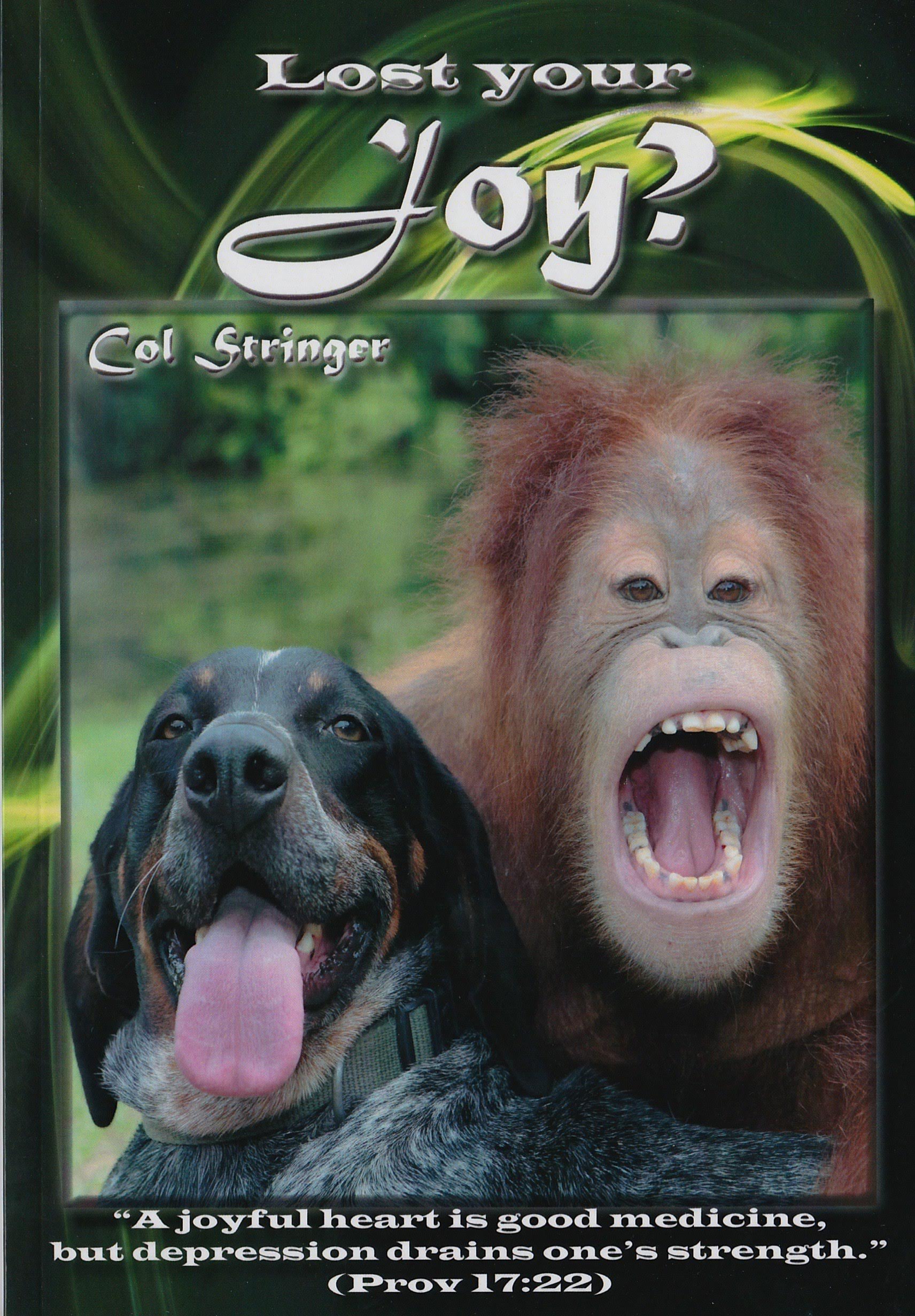 Whatever Happened to Joy - Col Stringer Ministries