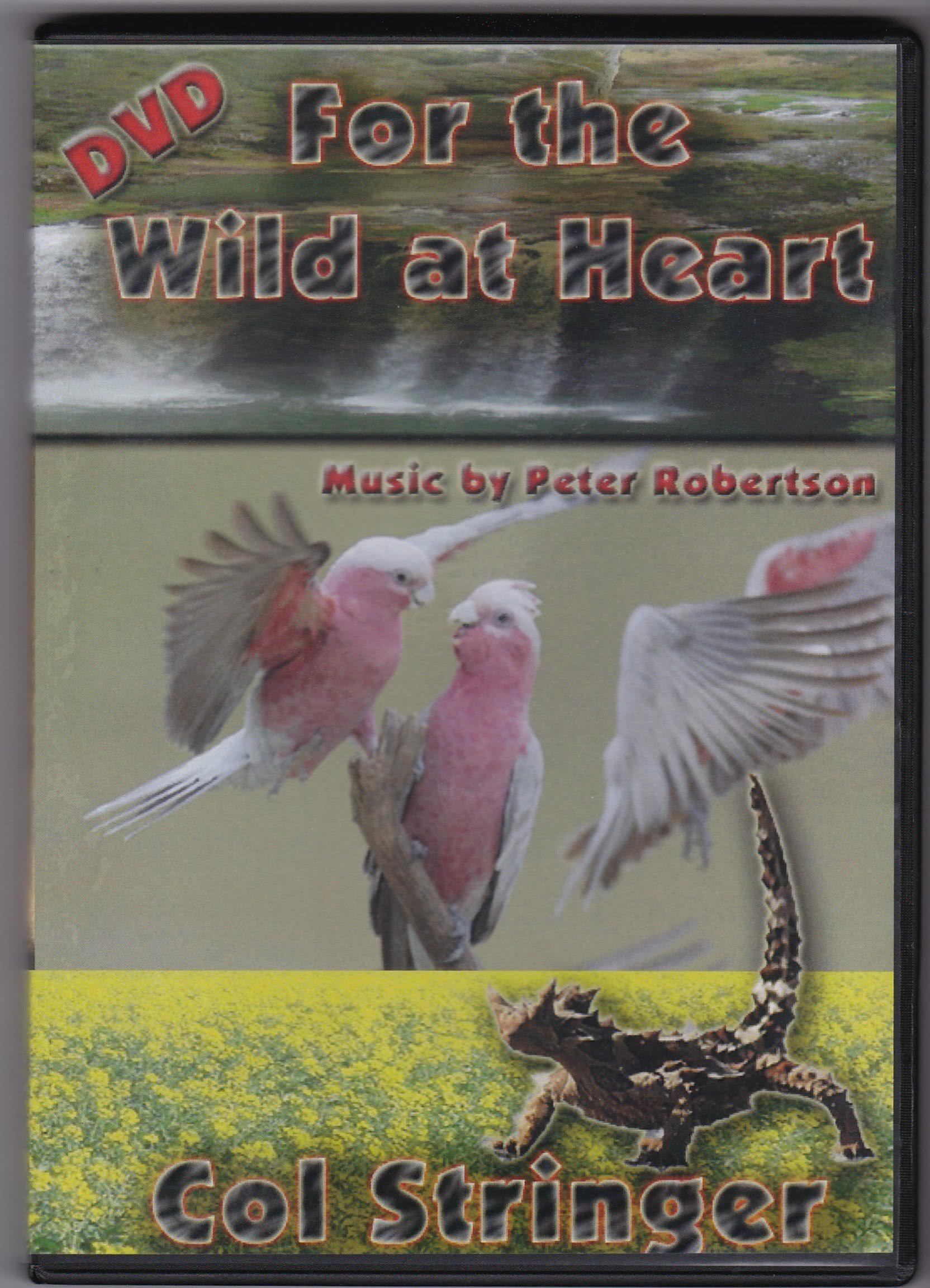 For The Wild At Heart - Col Stringer Ministries