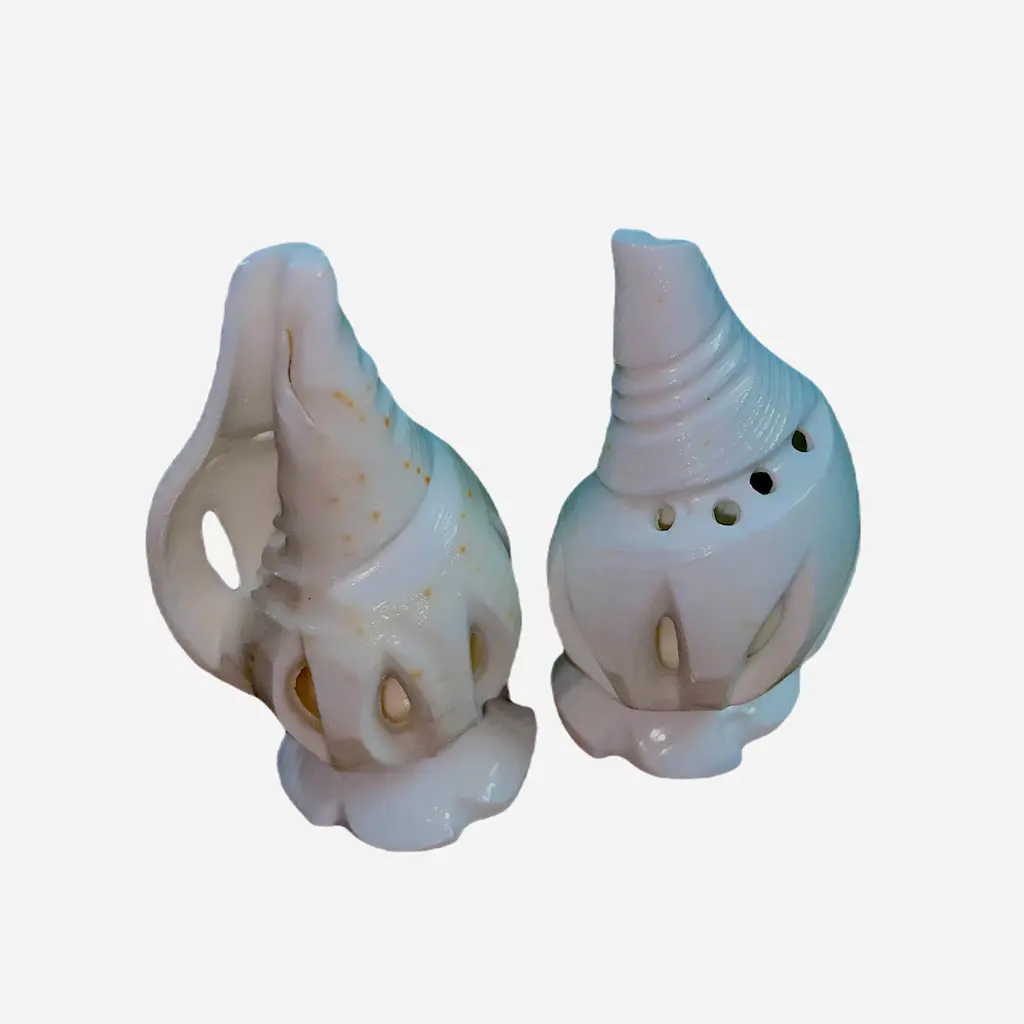 Seashell Insense Holder