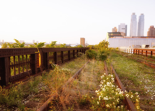 high line
