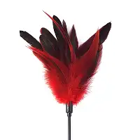 Лоскітка червона Art of Sex - Feather Paddle, перо молодого півня