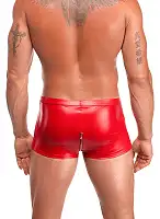 Чоловічі шорти Noir Handmade H097 Ignite shorts L