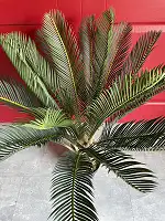 Цикас штучний в горщику 85 см