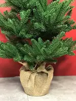 Ялинка Classic лита пишна  в мішковині 90 см зелена