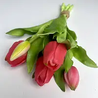 Тюльпани латексні рожеві, букет 5 тюльпанів, 30 см, штучні декоративні квіти