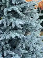 Ялинка лита Classic Mix 260 см блакитна