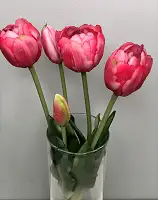 Штучні тюльпани латексні махрові, букет 5 квіток яскраво-рожевий Real Touch