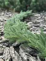 Гірлянда хвойна Classic лита 2 м світло-зелена