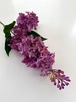 Бузок латексний світло-бордовий 71 см, гілка бузку декоративна, штучні квіти