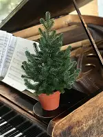 Ялинка Traditional лита  у горщику 50 см зелена новинка