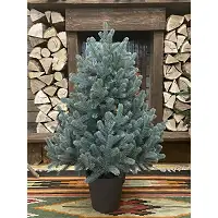 Ялинка Traditional лита в горщику 90 см блакитна новинка
