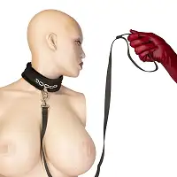 Нашийник із повідцем Punishment - Crystal Collar & Leash - Black