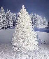 Ялинка Super Traditional лита пишна 180 см біла