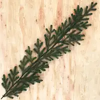 Гірлянда хвойна Traditional лита 2 м зелена