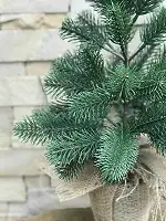 Ялинка лита Premium в мішковині 50 см зелена