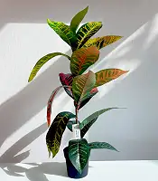 Кротон штучний 60 см у горщику