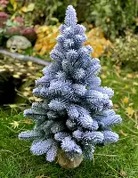 Ялинка лита Premium в мішковині 70 см засніжена