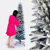 Ялинка лита Альпійська 220 см засніжена