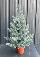 Ялинка Traditional лита в горщику 70 см блакитна