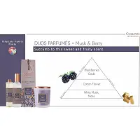 Наповнювач для аромадифузора Мускус і ягоди Collines de Provence, 200 мл