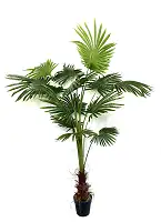 Пальма Лівістона штучна 180 см в горщику