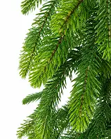 Ялинка штучна Forest Elf Green Mix в мішковині, вузька лита 120 см зелена