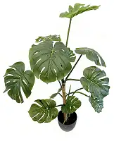 Монстера штучна у горщику 115 см