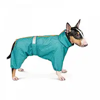 Дощовик Pet Fashion «Rain» для собак, розмір M2, бірюза