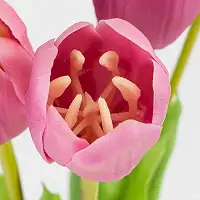 Букет латексних тюльпанів, 5 бутонів, лілово-рожевий, 45 см