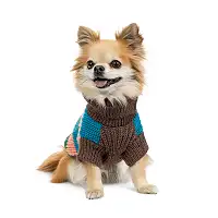 Светр Pet Fashion Happy для собак, розмір XS