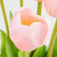 Букет латексних тюльпанів, 7 бутонів, ніжно-рожевий, 48 см