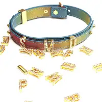 Нашийник LOCKINK Multi-color DIY Alphabet Collar