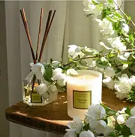 Аромадифузор, пахучка для дому Fresh Bergamot (Свіжий бергамот) Collines de Provence, 100 мл