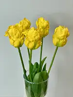 Штучні тюльпани латексні махрові 5 шт. жовті Real Touch, букет для декору, подарунок.