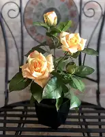 Троянда чайна штучний кущ в горщику 29 см