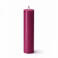 Свеча для WaxPlay Feral Feelings classic 15 см Cherry