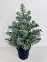 Ялинка лита Premium у горщику 50 см блакитна