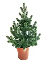 Ялинка Traditional лита  у горщику 50 см зелена новинка