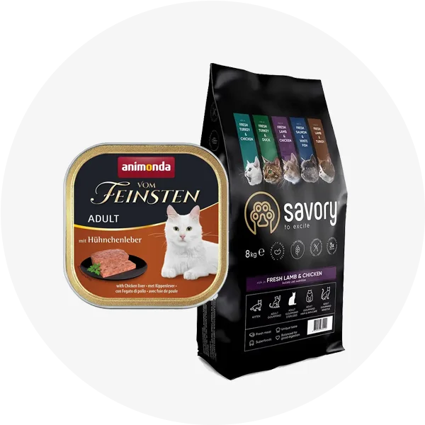 Корм для котів