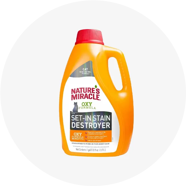 Догляд за будинком з котами