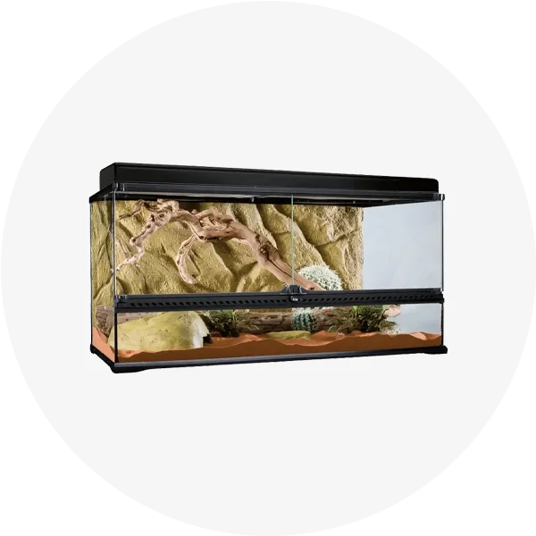 Тераріуми Природа