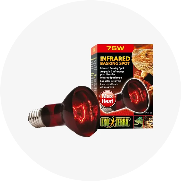 Освітлення та обігрів тераріума Trixie