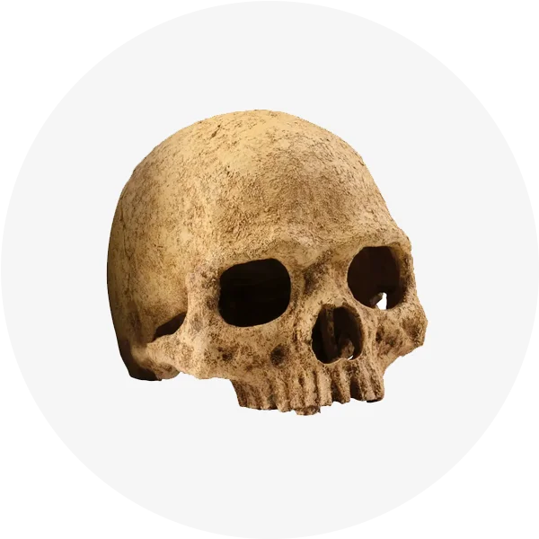 Декорації для тераріуму Trixie