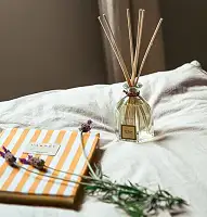 Аромат для дому White Tea (Білий чай) аромадифузор Collines de Provence, 100 мл