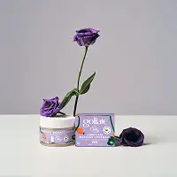 Масажна олія-лубрикант з ароматом та смаком фундука Goliate Couple Gourmand Noisette 50 мл