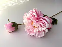 Піон штучний світло-рожевий 75 см, декоративна гілка піона, велика квітка 17 см