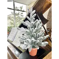 Ялинка Traditional лита в горщику 50 см засніжена