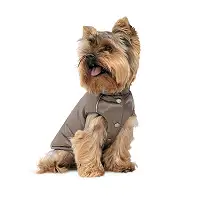 Жилет Pet Fashion Hardy для собак розмір XL